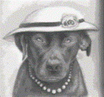 logo.jpg
