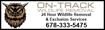 On Track Wildlife Removal